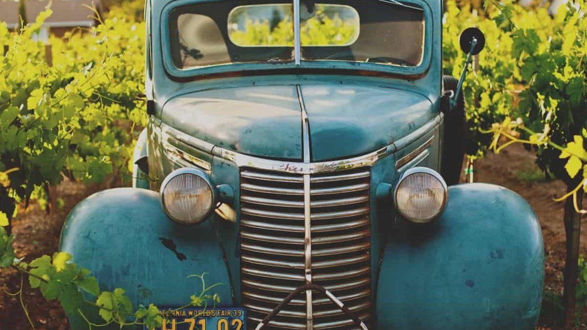 A vintage truck parked in a vineyard