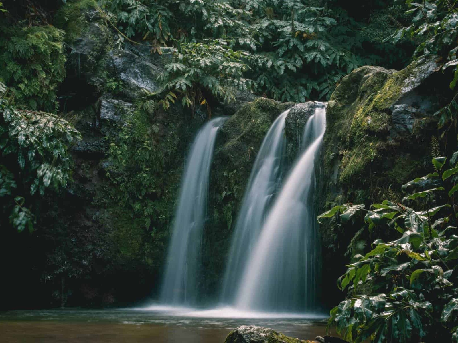 A majestic waterfall deep in the Azores