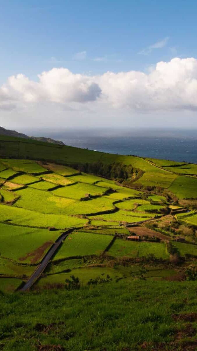 A landscape shot of the vineyards on the Azores island Pico