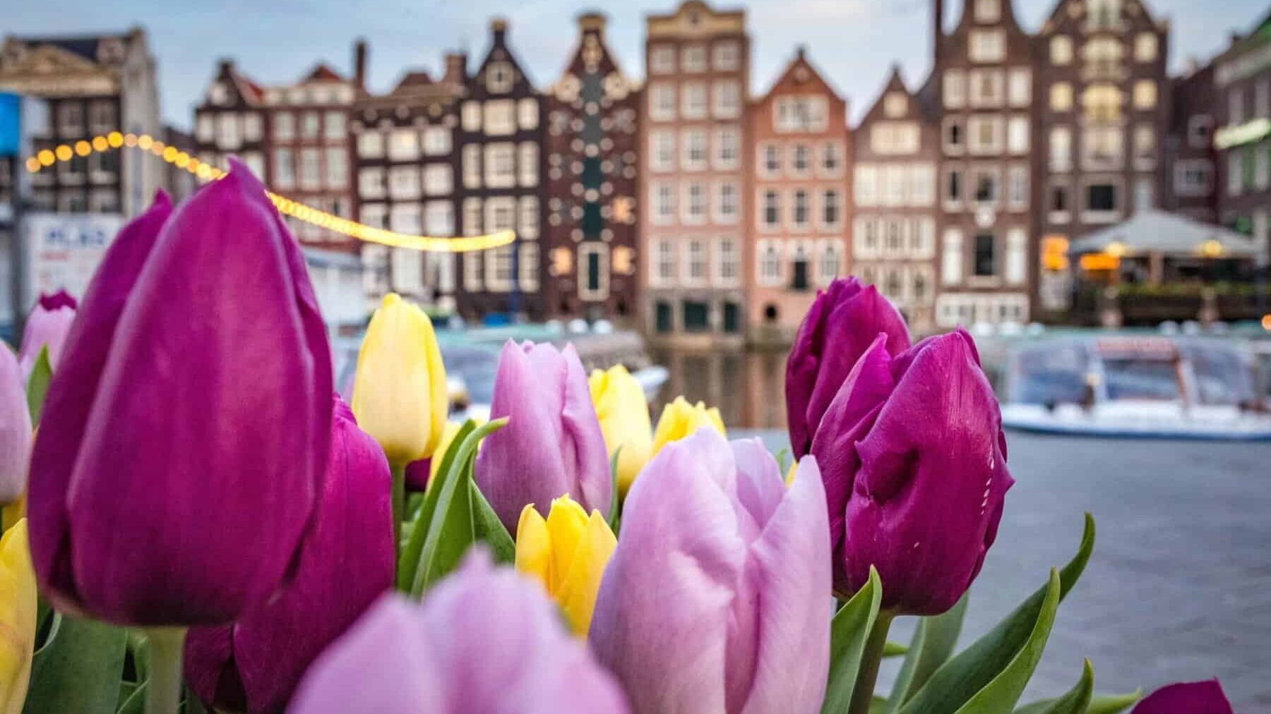 amsterdam, the netherlands