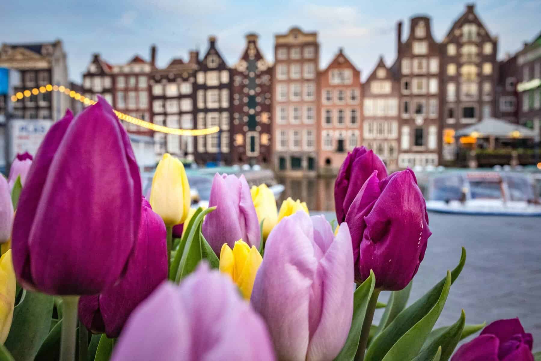 amsterdam, the netherlands