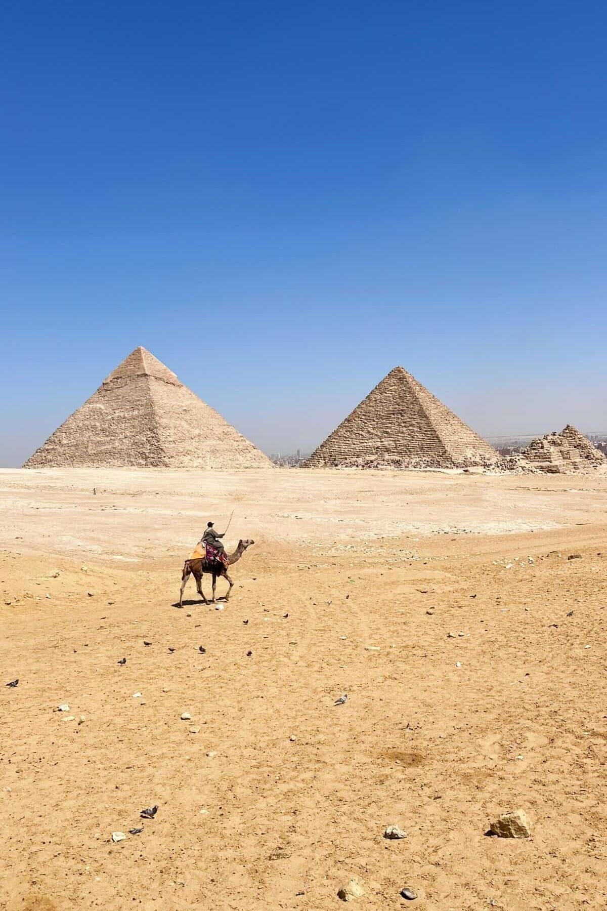 Marakez Pyramids Half Marathon, Egypt